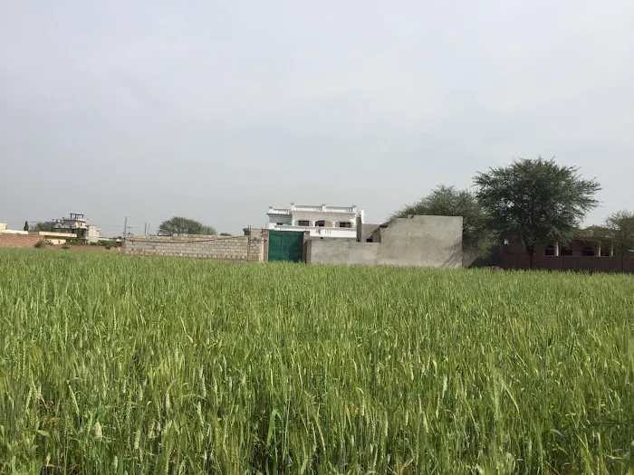 Jamia Badria Taleem-ul-Quran Picture 5