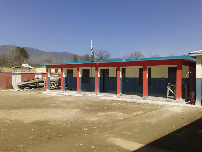 Government Primary School Malookra Picture 1