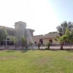Jamia Islamia Mahmoodia