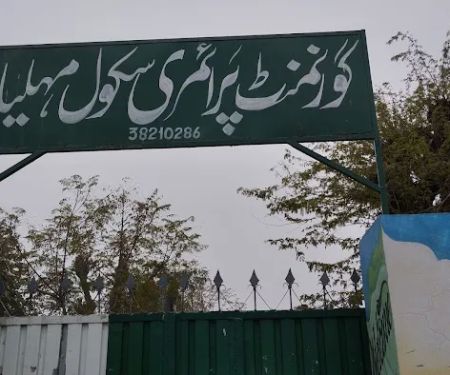 Government Boys Primary School Mehlian, Meli Pir Bukhsh