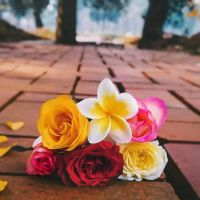 On line Tutior ( Quran ico