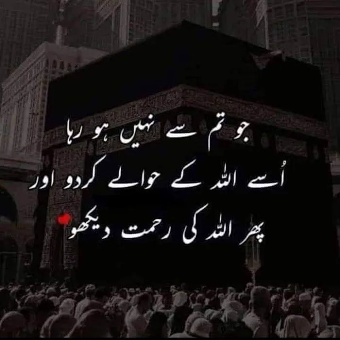 On line Tutior ( Quran Picture 8