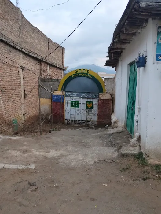 Govt girls primary school miagano Cham Picture 2