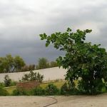 GGPS NOOR WALI JAN SARDI KHEL MIRALI