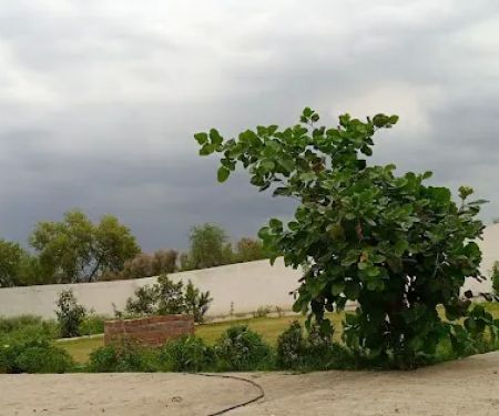 GGPS NOOR WALI JAN SARDI KHEL MIRALI