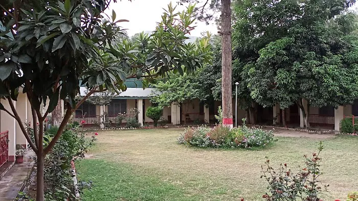 Government Polytechnic Institute (GPI) Boys Chakdara Picture 2
