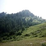 Israr Shaheed High School Parachinar
