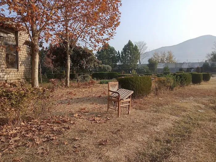 Govt Degree College Picture 7