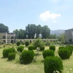 Govt Degree College