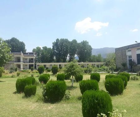 Govt Degree College