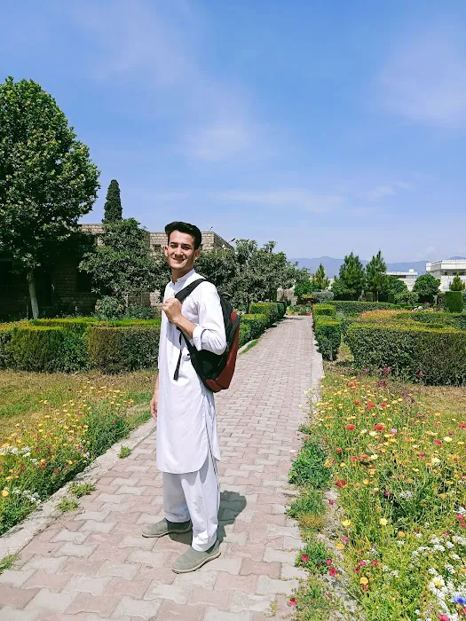 Govt Degree College Picture 2