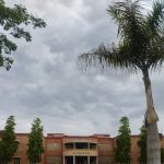 Pharmacy Department