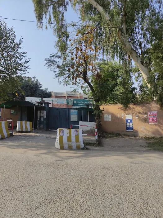 Govt. Degree College For Women Picture 3