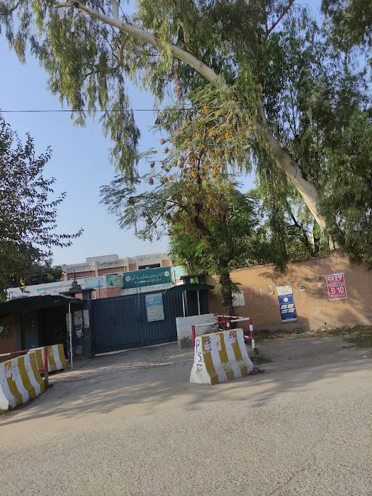 Govt. Degree College For Women Picture 6