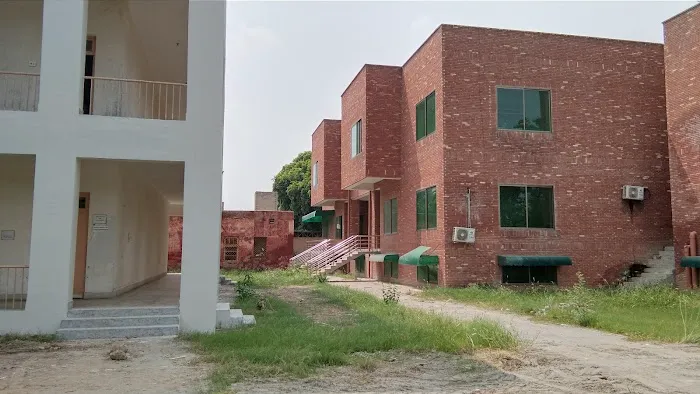 Examinations Department - UOS Picture 6