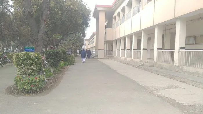 Department of Physics - UOS Picture 7