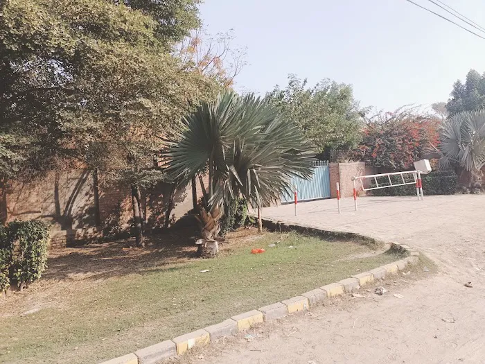 GOVERNMENT COLLEGE OF TECHNOLOGY FOR WOMEN SARGODHA Picture 3