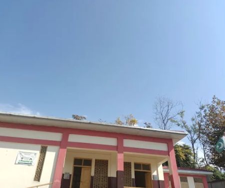 Government Primary School Sultan Colony Pahgorra (Battagram)