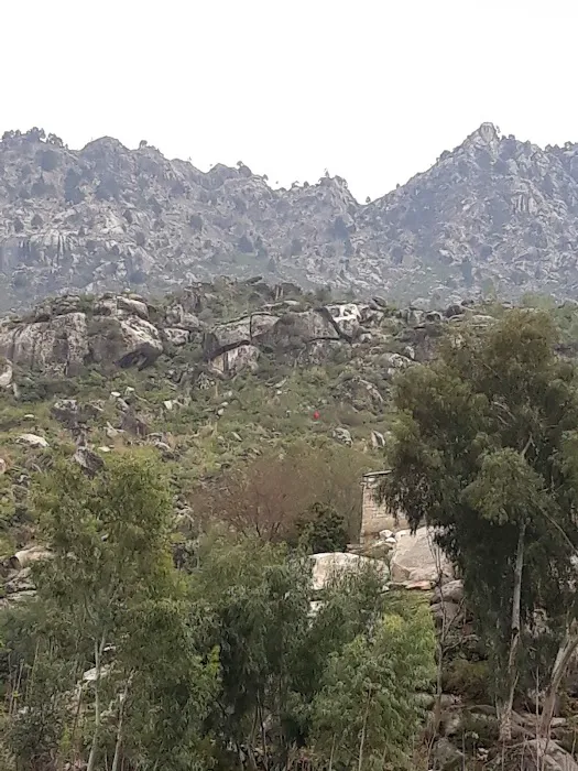 Malakand Institute Of Technology Piran Picture 2
