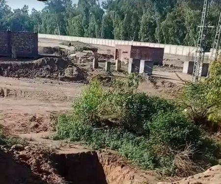 (UOH) University of Hafizabad