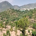 Govt Primary School No 1 Kupri Amazai