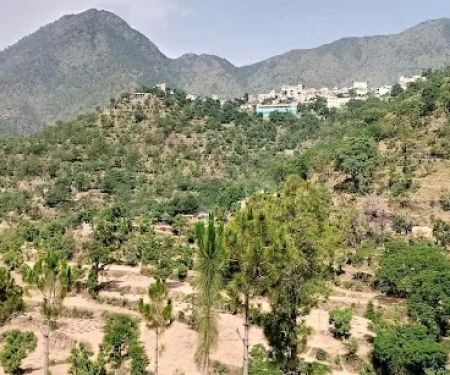 Govt Primary School No 1 Kupri Amazai