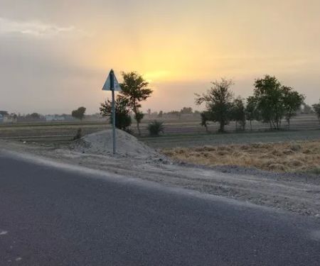 Govt Primary School Habib abad