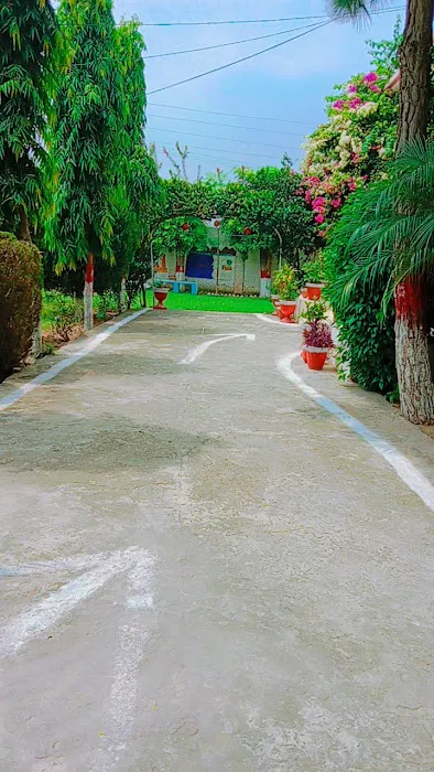Govt. Nawab Mumtaz Girls College Daulat Nagar Picture 5