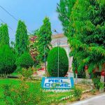 Govt. Nawab Mumtaz Girls College Daulat Nagar