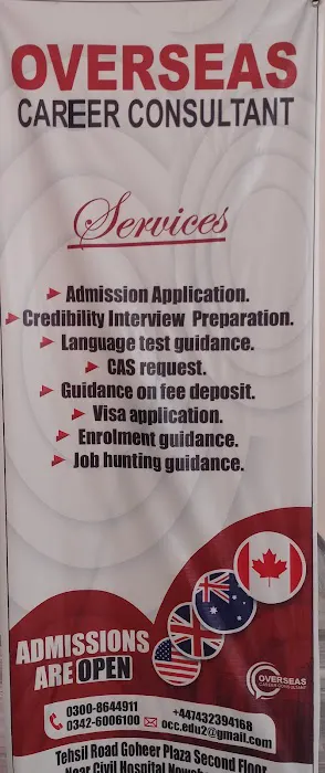 Overseas career consultant Picture 4