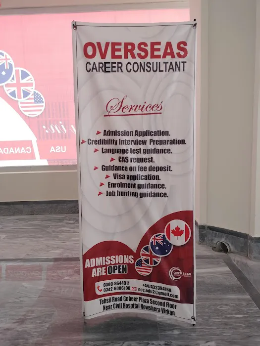 Overseas career consultant Picture 2