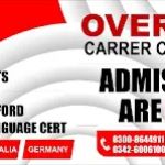 Overseas career consultant