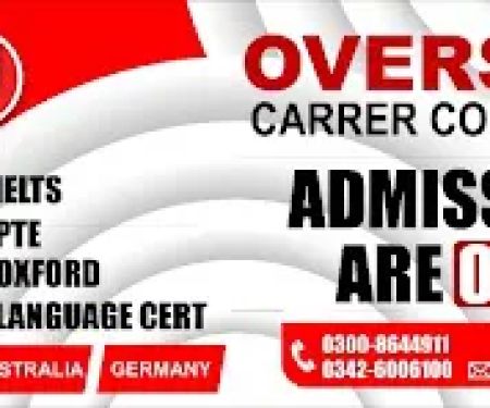 Overseas career consultant