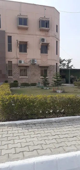 Hakeem Abdul Jalil Nadvi Herbal Research Institute Picture 3