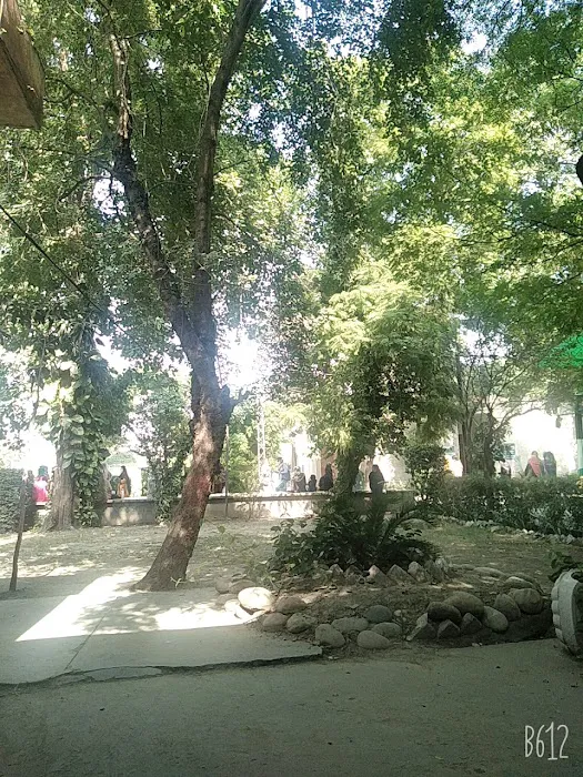 Govt. Post Graduate College for Women Model Town Gujranwala Picture 6