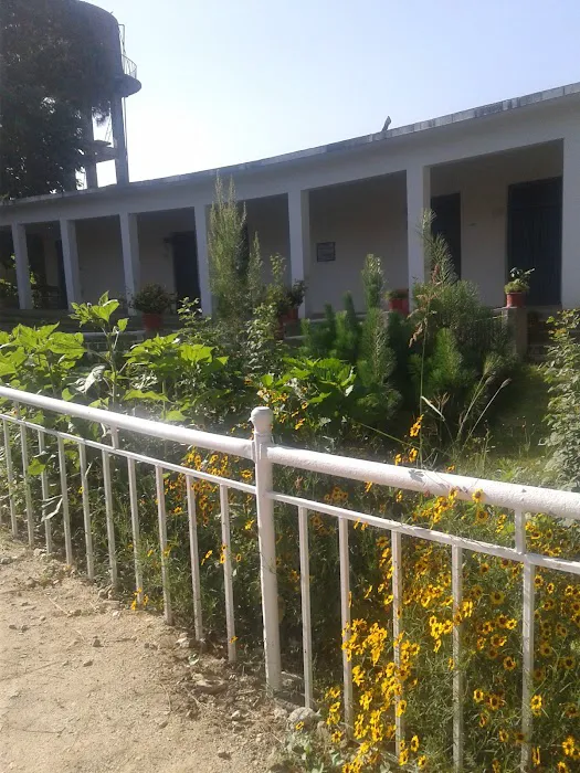 Govt Degree College Gulabad Chakdara Picture 1