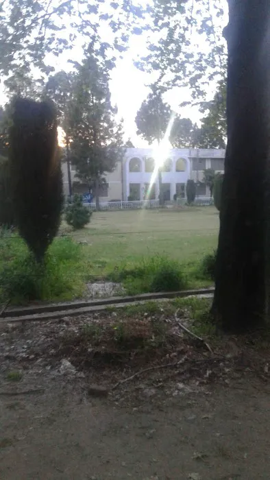 Govt Degree College Gulabad Chakdara Picture 7