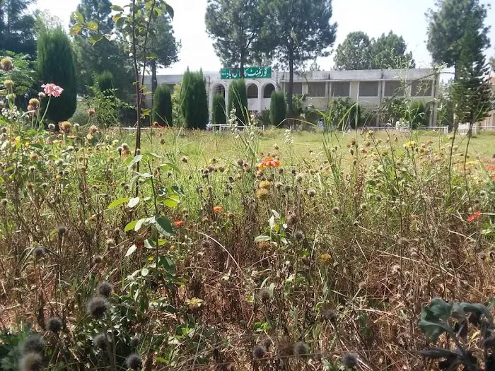 Govt Degree College Gulabad Chakdara Picture 9