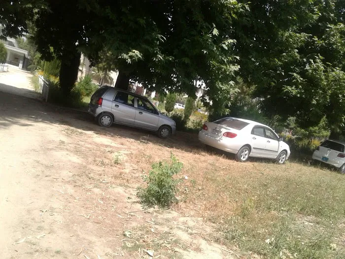 Govt Degree College Gulabad Chakdara Picture 8