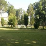 Department of computer science GDC Gulabad Chakdara
