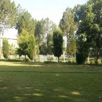 Department of computer science GDC Gulabad Chakdara ico