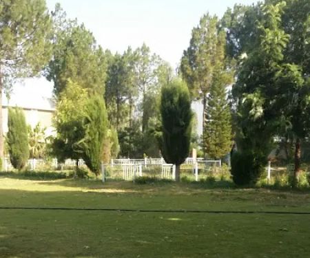 Department of computer science GDC Gulabad Chakdara