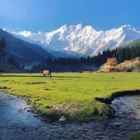 Wali Abbas Khan Guest House Machikhel ico