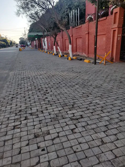 Federal Science College (فیڈرل سائنس کالج ) Picture 2