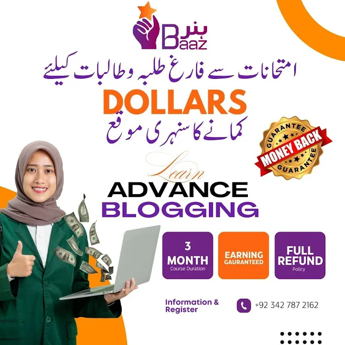 HunarBaaz Digital Marketing Training Center Picture 3