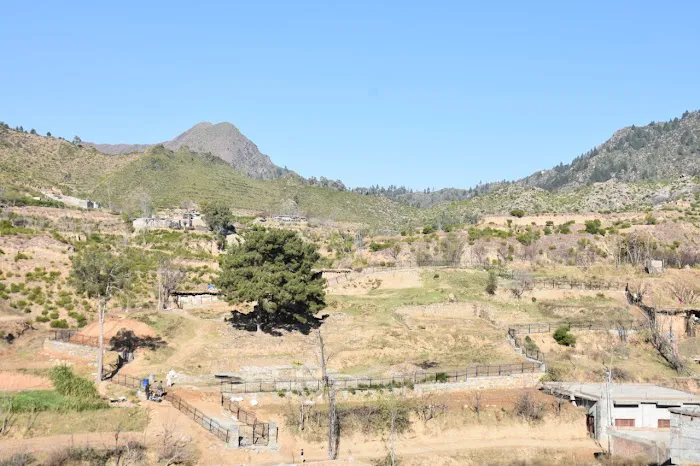 Institute of Cultural Heritage Tourism and Hospitality Management University of Swat Picture 6