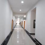 Department of Zoology