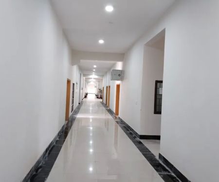 Department of Zoology