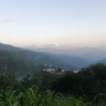 GPS BAGH NO. 2