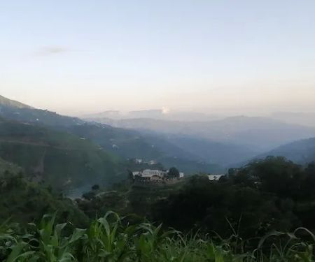 GPS BAGH NO. 2